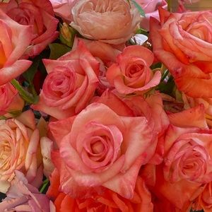 Meet your Posher, Chloe